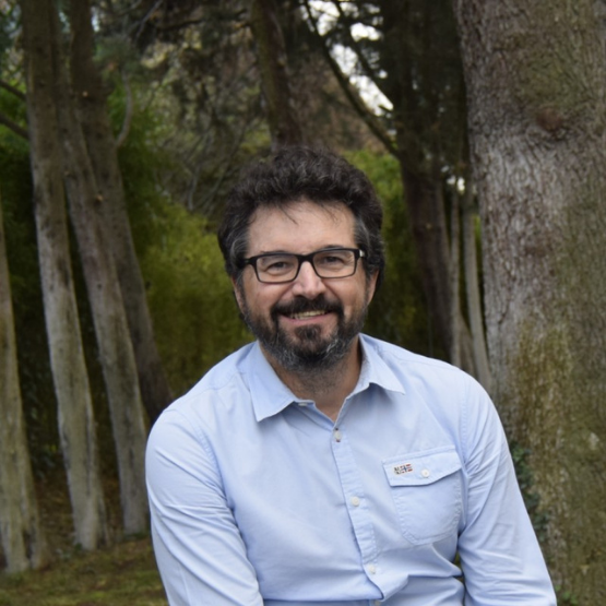  Insurtech para acelerar ventas en eCommerce